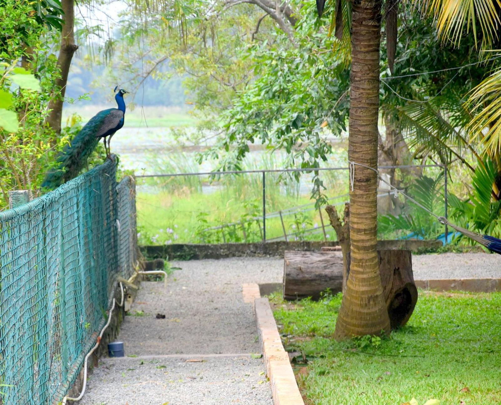 Hotel Ciel Star Anuradhapura Zewnętrze zdjęcie